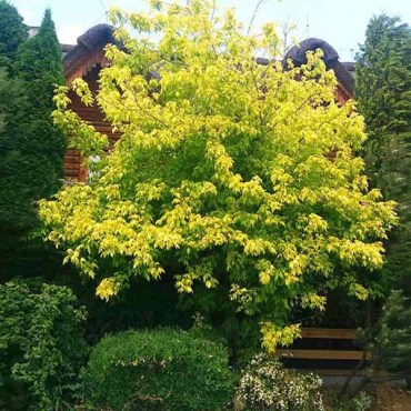 Без имени-1mju